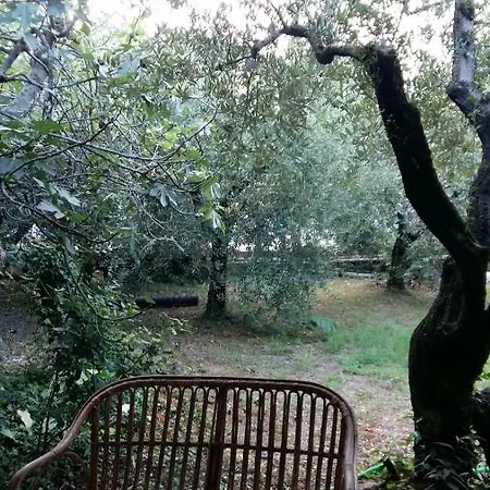 Casa Loro